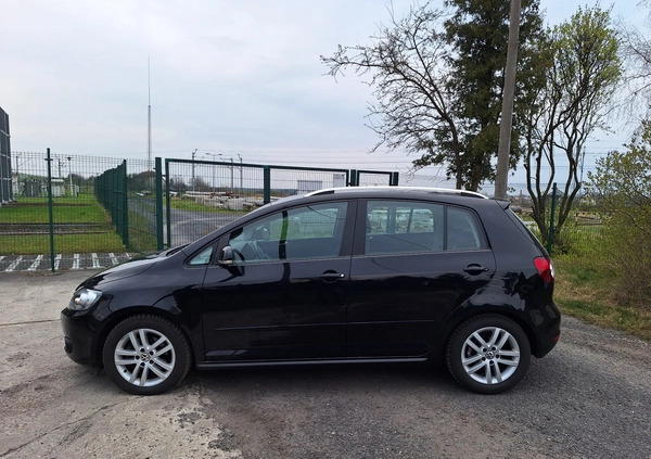 Volkswagen Golf Plus cena 23900 przebieg: 169000, rok produkcji 2009 z Dąbrowa Białostocka małe 137